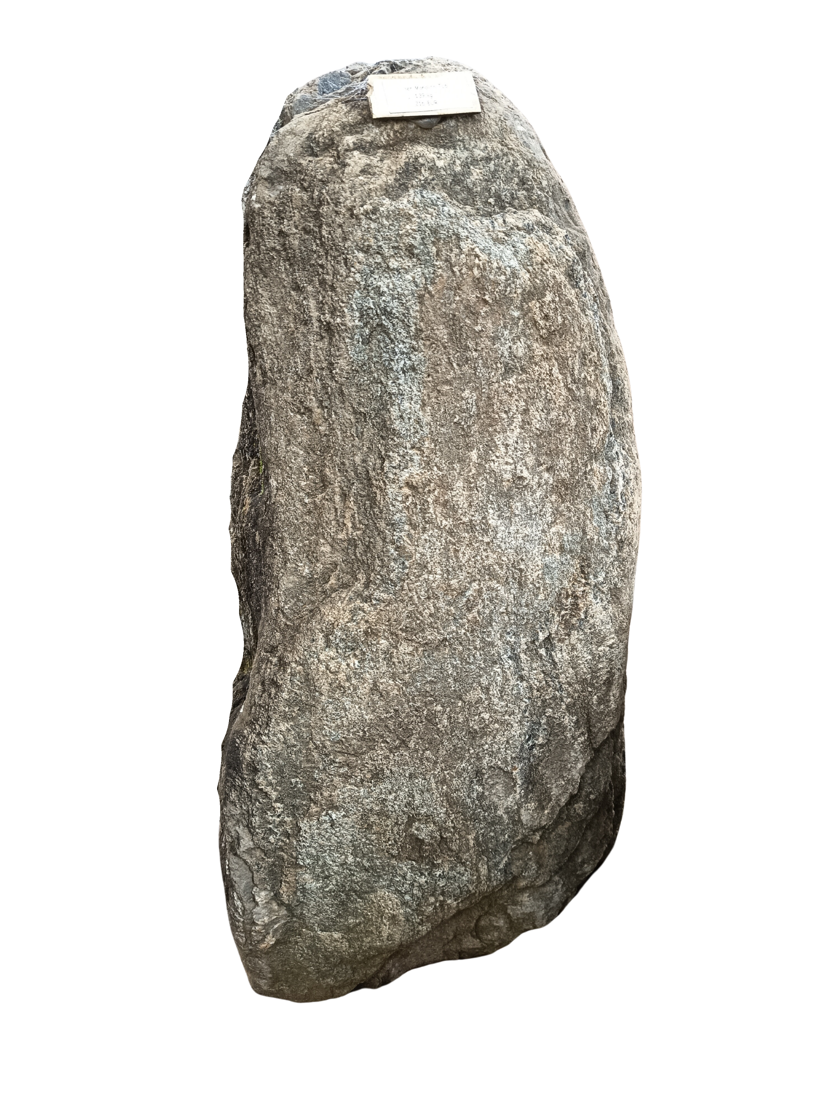 Grünschiefer